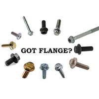 FLANGE BOLTS AND SCREWS